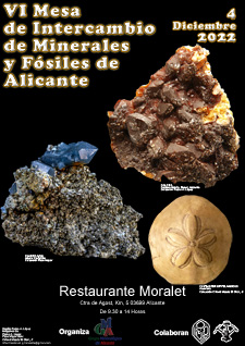 VI Mesa de Minerales de Alicante