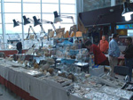 FEM. FIPAL. II Feria de Fósiles, Minerales y Malacología. Alcoy