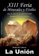 FEM. XIII Feria de Minerales y Fósiles de la Unión