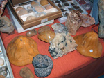 FEM. 5ª Feria de Fósiles, Minerales y Malacología de Alcoy