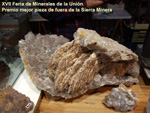 FEM. XVII Feria de Minerales y Fósiles. La Unión