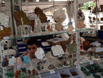FEM. III Feria de Minerales, Fósiles y Gemas Mineralia el Campello