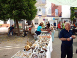 FEM. XXI Feria de Minerales y Fósiles de Monteluz