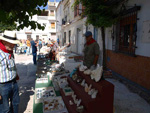 FEM. XXXIII Mesa de Minerales de Monteluz. Beas de Granada
