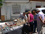 FEM. XXXIII Mesa de Minerales de Monteluz. Beas de Granada