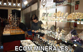 FEM. XXI Feria de Minerales y Fósiles de la Unión