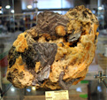 FEM. XXII Feria de Minerales y Fósiles dela Unión