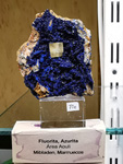 FEM. INTERMINERAL ZARAGOZA 2021. 25 Feria de Minerales, Fósiles y Gemas