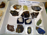 GMA. X Mesa de Intercambio de Minerales, Fósiles y Rocas Villa de Bembibre 2022 