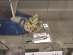  MINERALIA´s Sevilla. XXXIV Exposición Bolsa Internacional de Minerales, Fósiles y Gemas