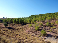 Afloramiento del Keuper, Casas de Ves, Comarca La Manchuela, Albacete   