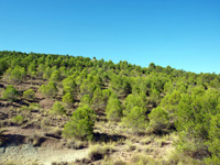 Afloramiento del Keuper, Casas de Ves, Comarca La Manchuela, Albacete   