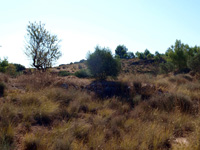 Afloramiento del Keuper, Casas de Ves, Comarca La Manchuela, Albacete  