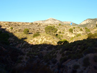 Explotaciones de Yesos Las Viudas. La Alcoraia. Alicante    